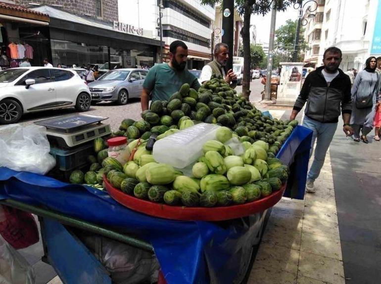 Dünyanın en zengin potasyum ve magnezyum kaynağı Tıkalı bağırsakları boşaltıyor