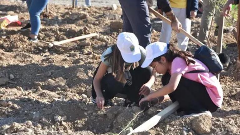 Maden sahası rehabilitasyonu projesiyle 511 hektar doğaya kazandırılıyor