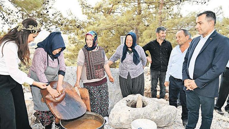 Ölmez ağacın gölgesinde