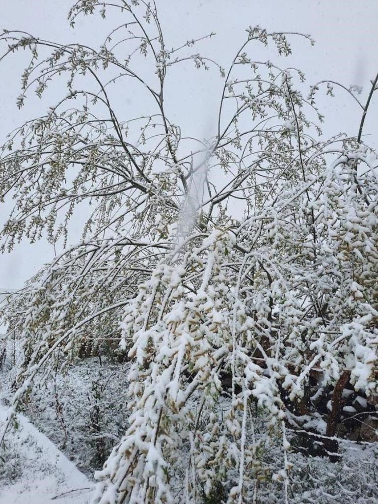 Türkiyenin en soğuk yeri Meteoroloji açıkladı: Termometreler -20 dereceyi gösterdi