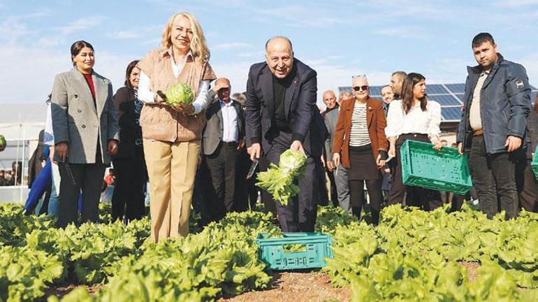 Eğitim, üretim, kazanç bir serada