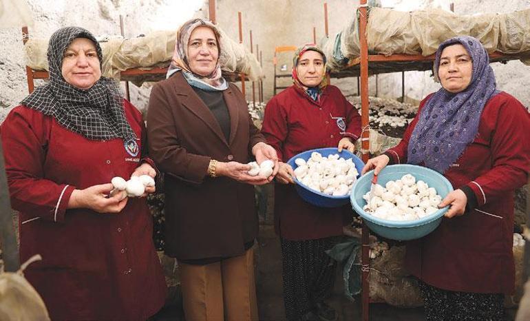 Bir kooperatifle kadınların hayatı değişti