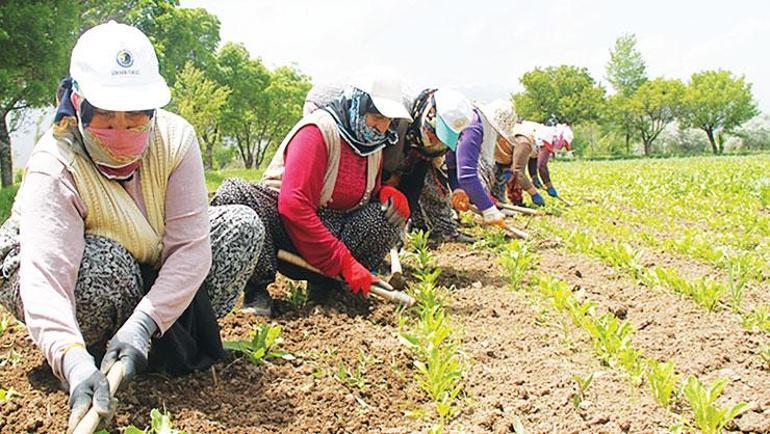 Tarımda sürdürülebilirlik için kadın emeği