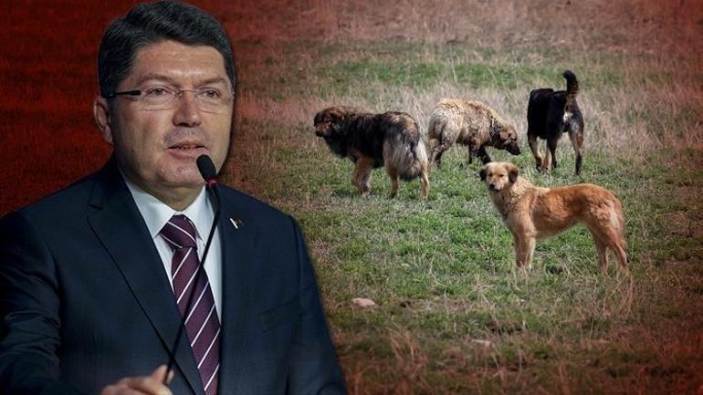 Hakkaride Eslem, Konyada Rana, şimdi de Murat yaşam savaşı veriyor Bakanlık harekete geçti