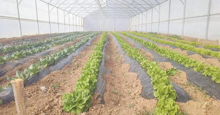 Alkışlar temizlik işçileri orkestrasına