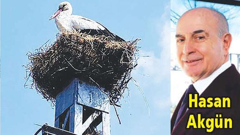 Büyükçekmecede çatılar leyleklere yuva olacak