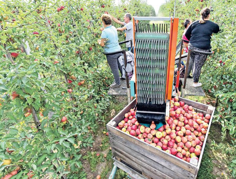 Sizce Türkiye kendine yetiyor mu