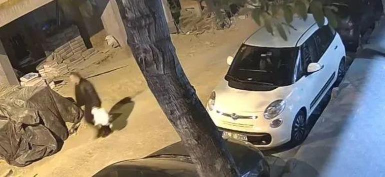 20 yıllık sevgilisine kocasını öldürttü Kan donduran cinayet planı
