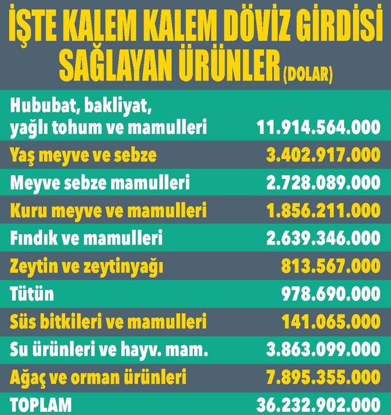 Tarımda rekorun adı onlar