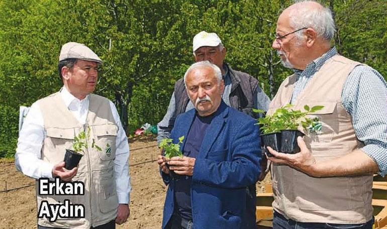Çayın çöpüyle çifte kazanç