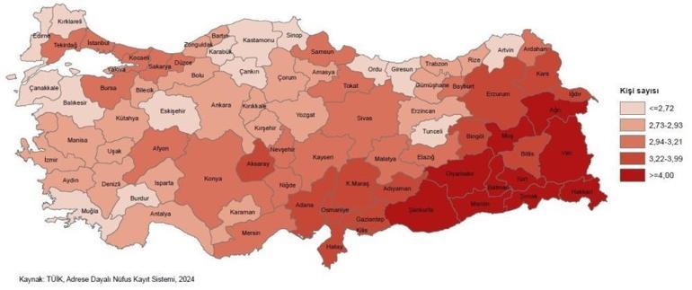 TÜİK istatistikleri açıkladı Türkiye’de en fazla yaşlı birey bulunan hane oranı bu ilde