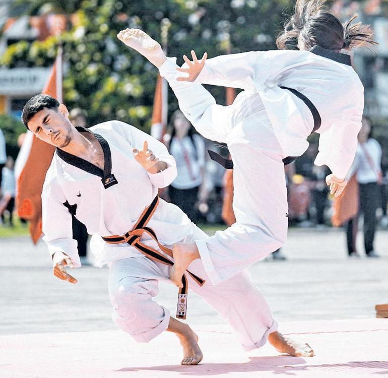 Karate ve taekwondo milli sporumuz mu