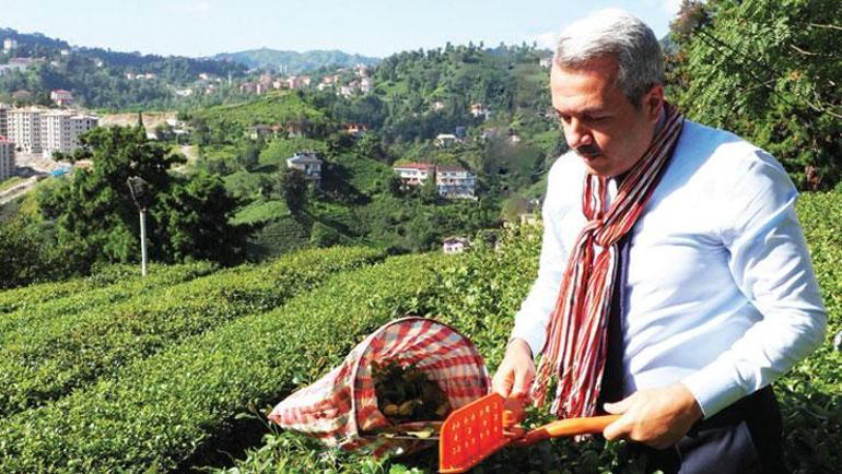 Yeşili ve çayı ile hafızalara kazınan şehir Rize