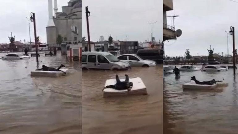 Trabzonu sel aldı