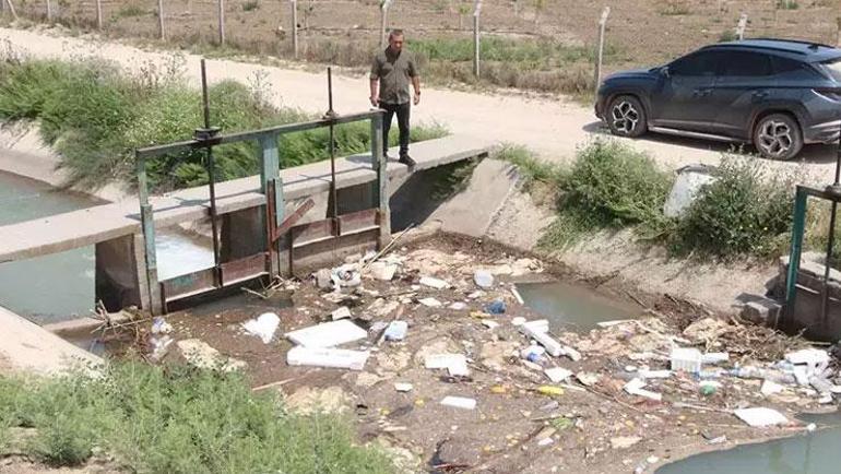 Kurban derileri sulama kanalında yüzüyor Çıplak ayakla gezmeyin uyarısı