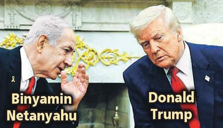 En büyük lüksümüz: Kan kırmızı domates