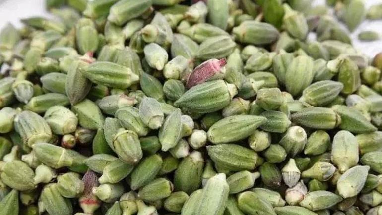Sofrada yüzüne bakılmıyor Doğadaki en güçlü magnezyum kaynağı: Karaciğerde biriken toksinleri temizliyor, bağırsakları motor gibi çalıştırıyor
