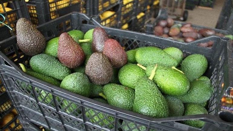 Kahvaltınıza mutlaka bir tane tüketin Son yılların favori besini: Kolesterolü damardan kazıyor, cildi ışıl ışıl yapıyor