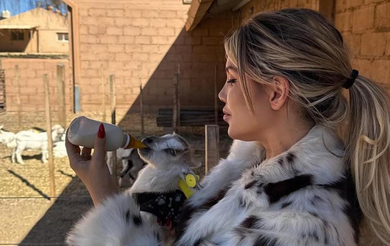 Wanda Nara Kuzey Arjantinde Kuzulara süt içirip traktör önünde poz verdi