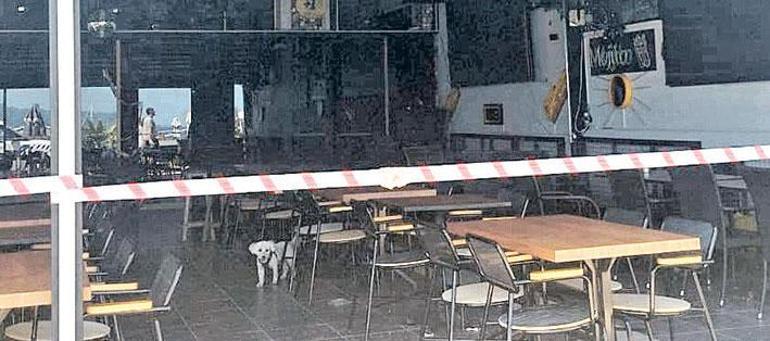 Marmaris Ticaret Odası Başkanı Mutlu Ayhan: Görüntüler münferit Marmaris güvenli