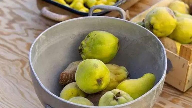 Hem kendisi hem çekirdeği şifa Tatlısını yapıp kaşık kaşık tüketin: Vücuttaki ödemi söküyor, bağırsakları harıl harıl çalıştırıyor