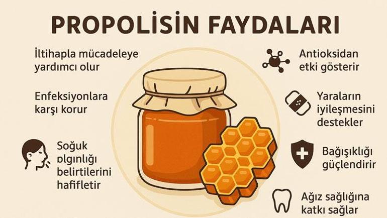 Kovandan çıkan mucize besin Uzmanı açıkladı: Antibakteriyel etki gösteriyor
