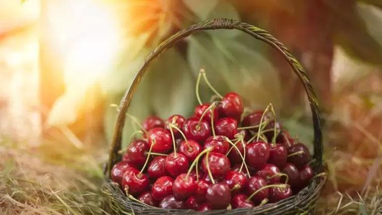 Pazarda gören kilo kilo alıyor Vücuda C vitamini yüklemesi yapıyor, kalbi kaya gibi kuvvetlendiriyor