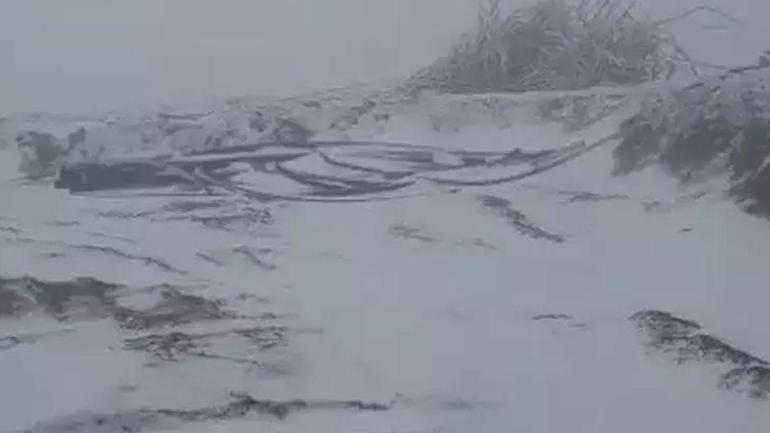Temmuz ayında kışa teslim oldular Tipi ve fırtına etkili oldu