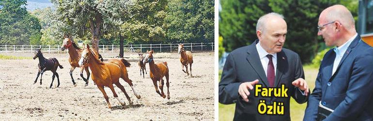 Düzce biniciliğin lokomotifi olacak