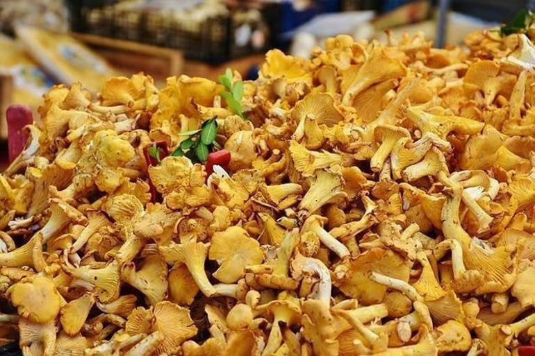 İbrahim Saraçoğlu en marifetli vitamin diyor Eksiği kemik erimesi ve bel bükülmesine neden oluyor, şekere karşı bile etkili