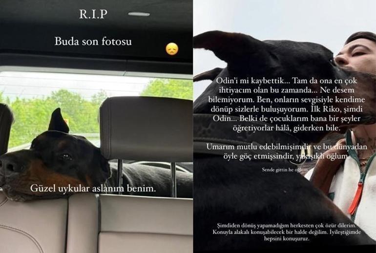 Mahmut Orhanı yıkan ölüm haberi Belki de bana bir şeyler öğretiyorlar giderken bile
