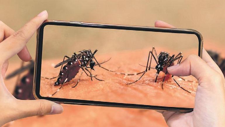 Kavurucu sıcaklara akıllı çözümler