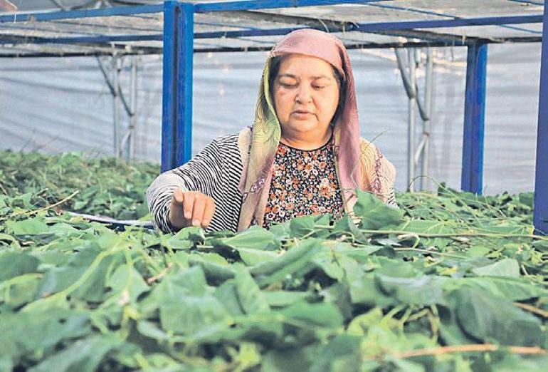 Kayseri kırsalına temiz enerjiyle su