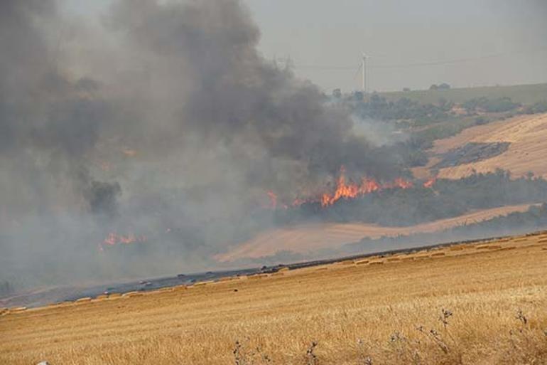 Tekirdağda anız yangını ormana sıçradı Rüzgarın etkisiyle büyüdü