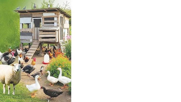 Çamlıca Kulesine 30 kardeş geliyor