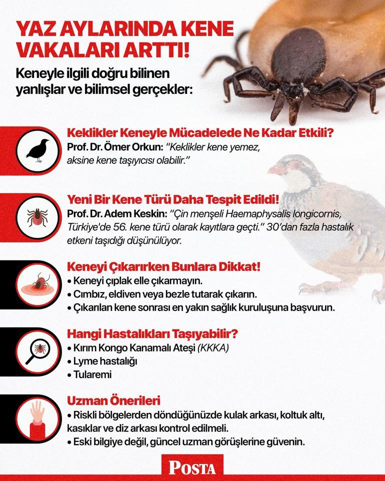 Sosyal medyada gördüğünüze inanmayın Uzmanı uyardı: Meğer gerçek çok başkaymış, keneye karşı savaşta binlercesi doğaya salınıyor