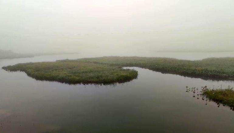 Göldeki yüzen adalar hava durumunu önceden söylüyor: Geleneksel meteorolojik tahmin