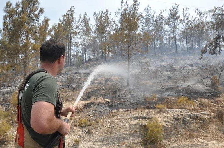 Orman yangınlarında alevlerle mücadeleler sürüyor Bakan Yumaklı: Bir günde 76 yangınla mücadele ettik