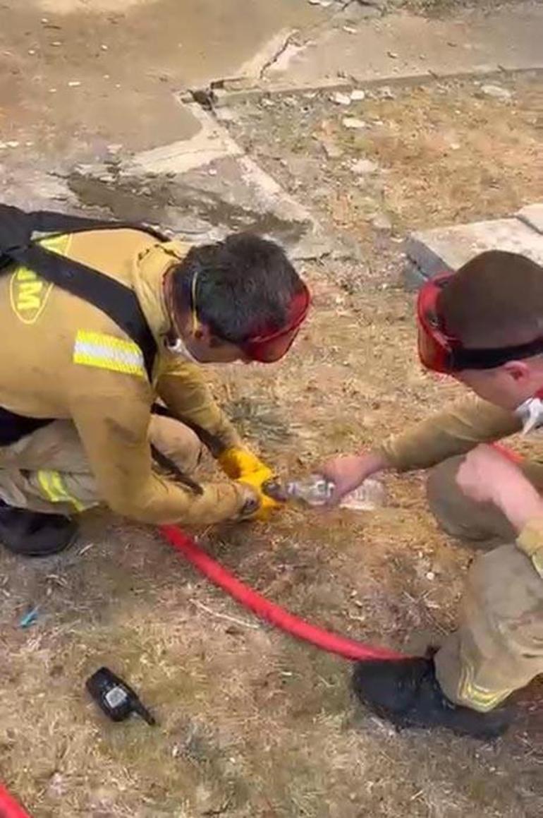 Çanakkalede orman yangını Bakan Yumaklı son durumu açıkladı: 4 şüpheli gözaltında