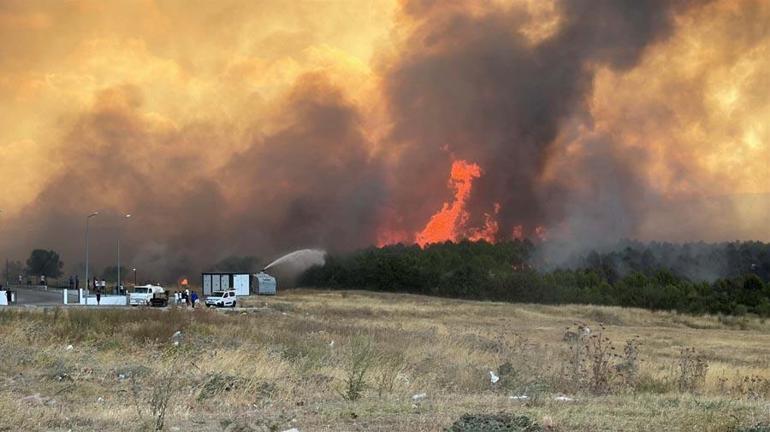 Çanakkalede orman yangını Bakan Yumaklı son durumu açıkladı: 4 şüpheli gözaltında