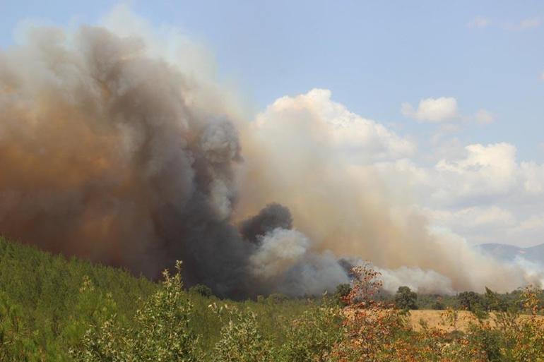 Çanakkalede orman yangını Bakan Yumaklı son durumu açıkladı: 4 şüpheli gözaltında