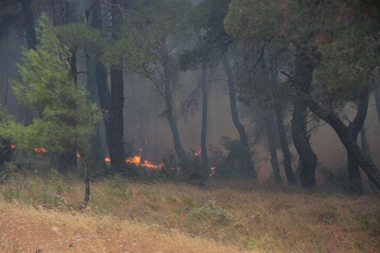 Çanakkalede orman yangını Bakan Yumaklı son durumu açıkladı: 4 şüpheli gözaltında