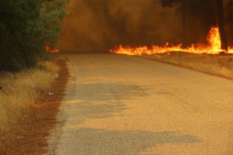Çanakkalede orman yangını Bakan Yumaklı son durumu açıkladı: 4 şüpheli gözaltında