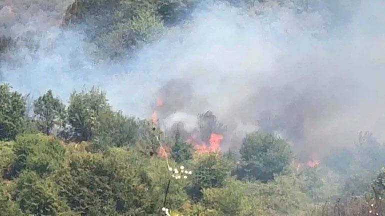 Orman yangınlarıyla mücadele Kocaeli, Bursa, Bartın, Muğla ve Karamanda devam ediyor Alevler yerleşim yerlerine sıçradı
