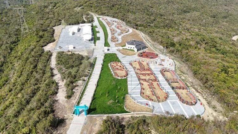 İstanbul Valiliği’nin talimatı sonrası sahipsiz hayvanlar toplanmaya başlandı