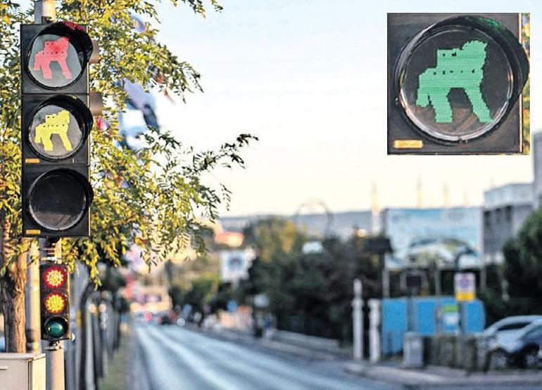 Troya Atı trafik ışıklarında yandı