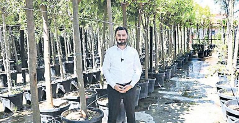 Troya Atı trafik ışıklarında yandı