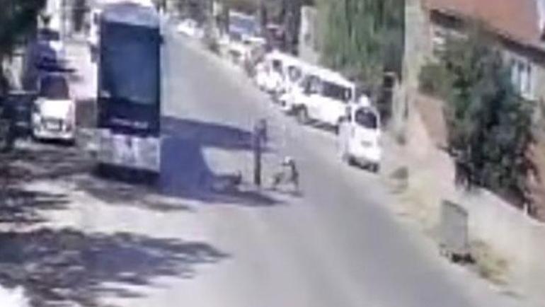 Yaşlı adamı acımasızca darp etti: ‘Köpeklerimi sen mi şikayet ettin’