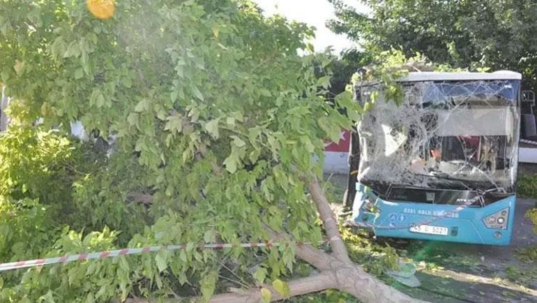 TIR köprüden uçtu, aracın üzerine düştü 1 ölü, 1i polis 2 yaralı