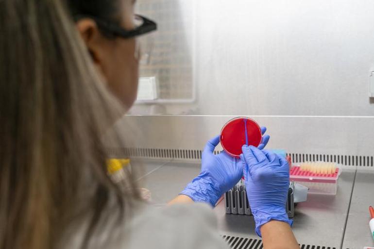 Enfeksiyonla başlayıp organ yetmezliğine götüren sessiz tehlike Uzmanı uyardı: Bağışıklığı zayıf olanlar daha büyük risk altında